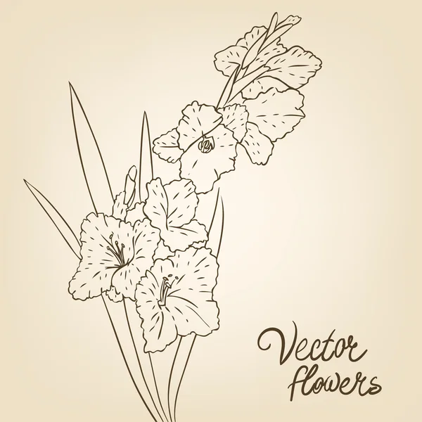 Fundo com flores — Vetor de Stock