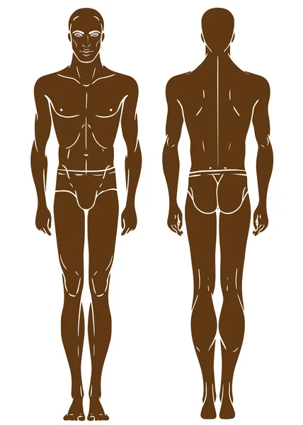 African American man's full length body — Stock Vector