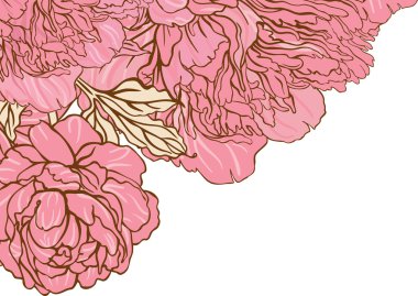 güzel Şakayık gövde tasarımı