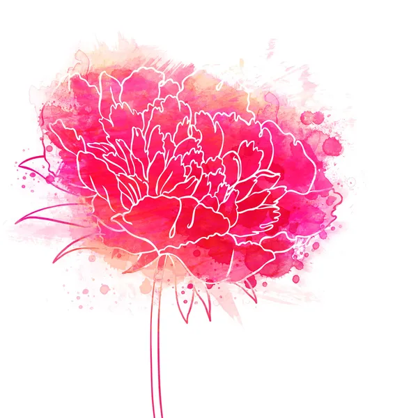 सुंदर पीओनिस फूल. वॉटरकलर चित्रकला . — स्टॉक फोटो, इमेज