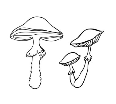 Sihirli mantarlar. Psikedelik halüsinasyon. Taslak vektör çizimi beyaza izole edildi. Çocuklar ve yetişkinler için boyama kitabı.