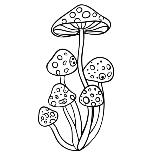 Cogumelos mágicos. Alucinação psicadélica. Desenho ilustração vetorial isolado em branco. Livro para colorir para crianças e adultos. — Vetor de Stock