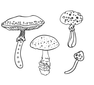 Sihirli mantarlar. Psikedelik halüsinasyon. Taslak vektör çizimi beyaza izole edildi. Çocuklar ve yetişkinler için boyama kitabı.
