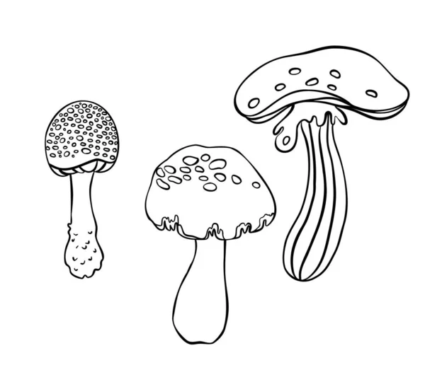 神奇的蘑菇迷幻的幻觉。在白色上孤立的概要向量图。儿童和成人彩色书. — 图库矢量图片