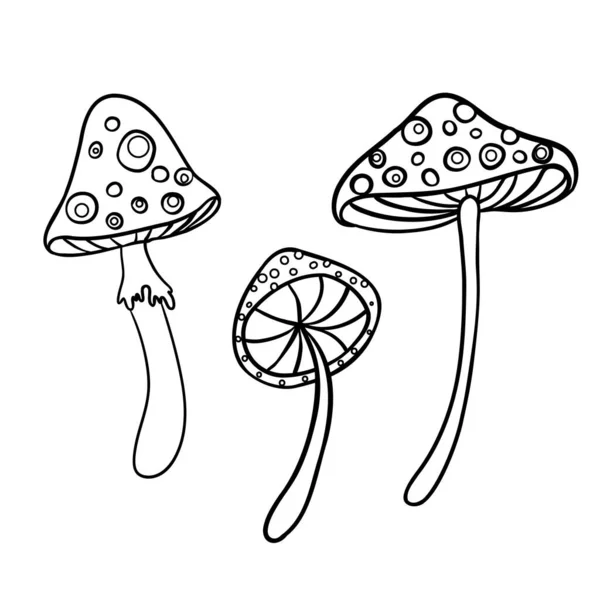 Cogumelos mágicos. Alucinação psicadélica. Desenho ilustração vetorial isolado em branco. Livro para colorir para crianças e adultos. — Vetor de Stock