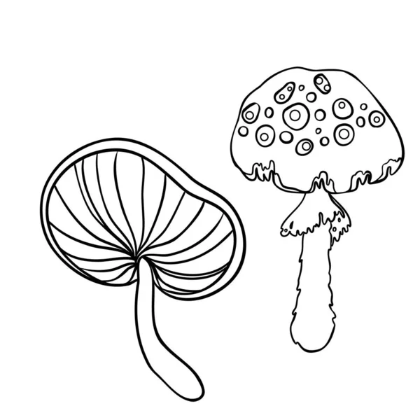 Funghi magici. Allucinazioni psichedeliche. Illustrazione vettoriale di contorno isolata su bianco. Libro da colorare per bambini e adulti. — Vettoriale Stock