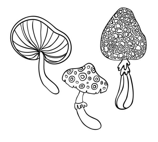 Magic mushrooms. Psychedelic hallucination. Outline vector illustration isolated on white. Coloring book for kids and adults. — Stock Vector