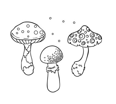 Sihirli mantarlar. Psikedelik halüsinasyon. Taslak vektör çizimi beyaza izole edildi. Çocuklar ve yetişkinler için boyama kitabı.