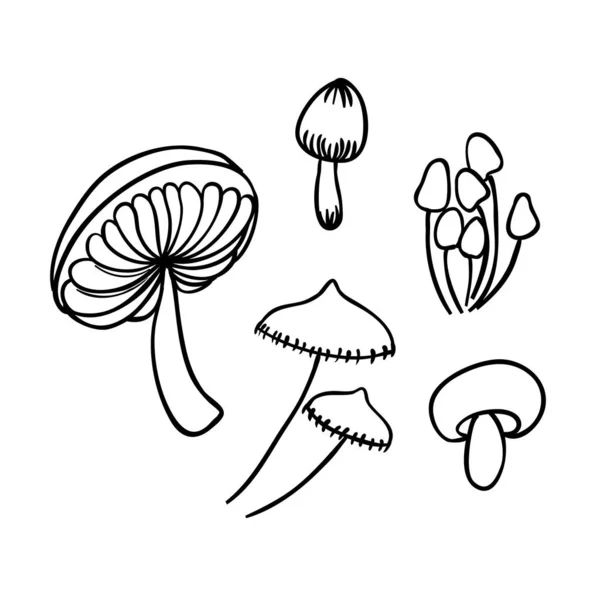 Funghi magici. Allucinazioni psichedeliche. Illustrazione vettoriale di contorno isolata su bianco. Libro da colorare per bambini e adulti. — Vettoriale Stock