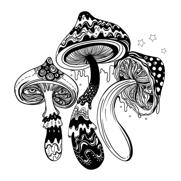 Champignons magiques. hallucination psychédélique. Illustration vectorielle de contour isolée sur blanc. Livre à colorier pour enfants et adultes. — Image vectorielle