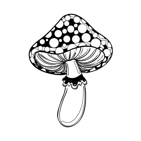 Magic mushrooms. Psychedelic hallucination. Outline vector illustration isolated on white. Coloring book for kids and adults. — Stock Vector