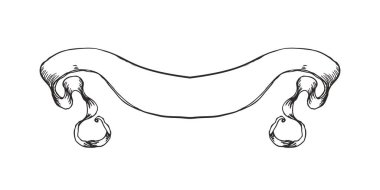 Vintage banner ribbon isolated on white background, vector illustration. Copy space for your text.