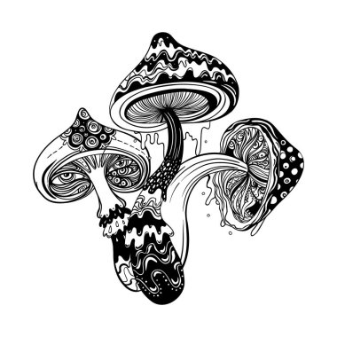 Sihirli mantarlar. Psikedelik halüsinasyon. Taslak vektör çizimi beyaza izole edildi. 60 'ların hippi sanatı. Çocuklar ve yetişkinler için boyama kitabı.