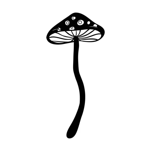 Cogumelos Mágicos Alucinação Psicadélica Desenho Ilustração Vetorial Isolado Branco Arte —  Vetores de Stock