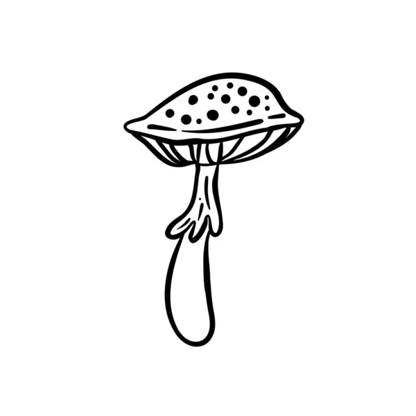 Cogumelos Mágicos Alucinação Psicadélica Desenho Ilustração Vetorial Isolado Branco Arte — Vetor de Stock