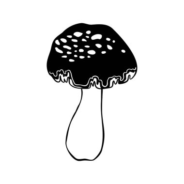 Sihirli mantarlar. Psikedelik halüsinasyon. Taslak vektör çizimi beyaza izole edildi. 60 'ların hippi sanatı. Çocuklar ve yetişkinler için boyama kitabı.