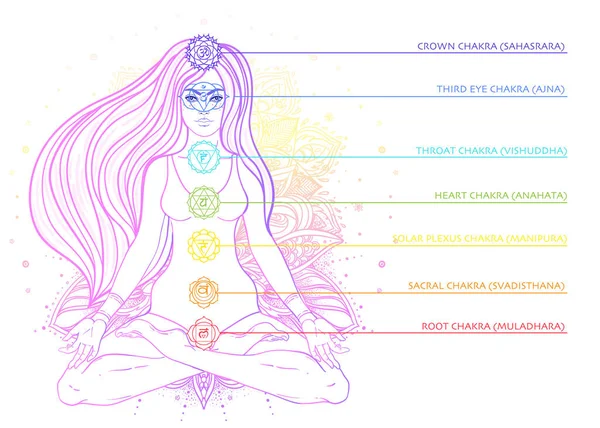 Mujer Joven Posición Loto Concepto Chakras Persona Haciendo Yoga Patrón — Archivo Imágenes Vectoriales