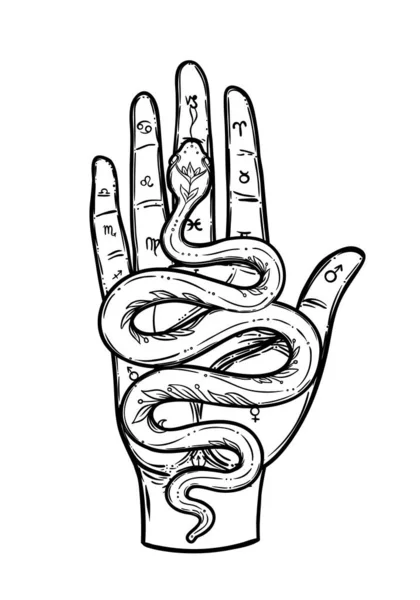 Magic Hand Snake Fortune Telling Concept Spiritual Palmistry Symbol Logo — Stock Vector