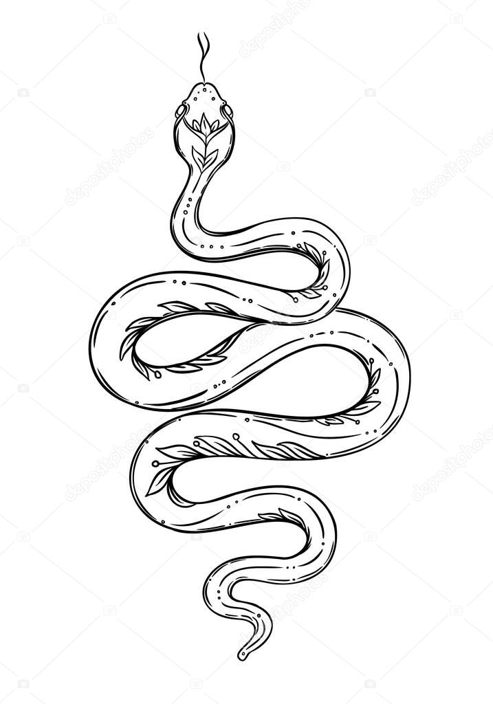 Vector outline snake. Magic symbol. Serpent art in trendy style. Wicca moon goddess symbol. Vector illustration. Tattoo, astrology, alchemy, boho and magic symbol. Coloring book.