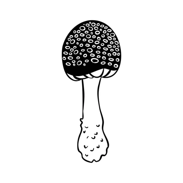 Cogumelos Mágicos Alucinação Psicadélica Desenho Ilustração Vetorial Isolado Branco Arte — Vetor de Stock
