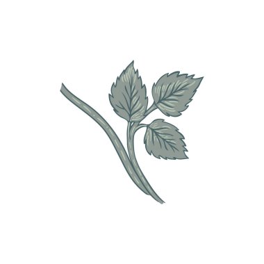 Çiçeksel bağbozumu. Büyülü Vintage Çiçekleri. Sanat ve el sanatları hareketi ilham verici. Vektör tasarım elemanı. Beyazda izole edilmiş.