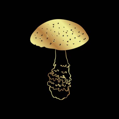 Magic mushrooms. Psychedelic hallucination. Gold vector illustration isolated on black. 60s hippie art. Coloring book for kids and adults.