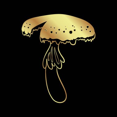 Magic mushrooms. Psychedelic hallucination. Gold vector illustration isolated on black. 60s hippie art. Coloring book for kids and adults.