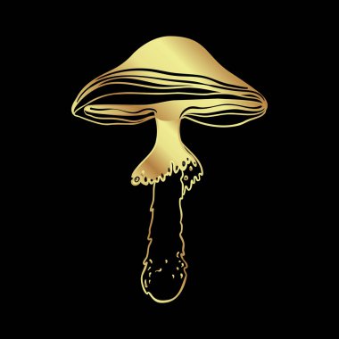 Magic mushrooms. Psychedelic hallucination. Gold vector illustration isolated on black. 60s hippie art. Coloring book for kids and adults.
