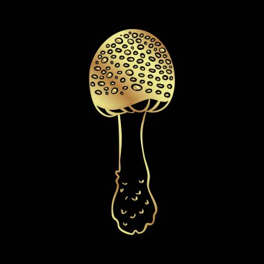 Magic mushrooms. Psychedelic hallucination. Gold vector illustration isolated on black. 60s hippie art. Coloring book for kids and adults.