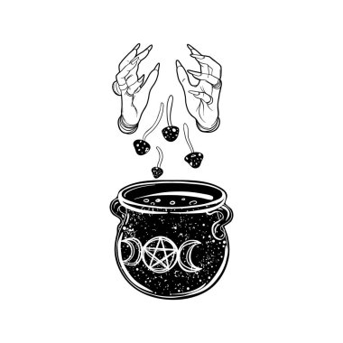 Witch dropping mushrooms to her magic cauldron. Vector isolated illustration in Victorian style. Mediumship divination equipment. flash tattoo drawing. Alchemy, religion, spirituality, occultism.