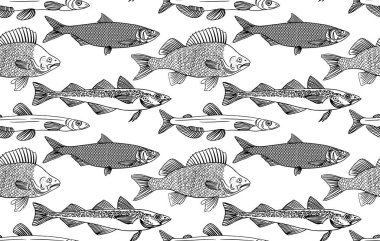 Fish seamless pattern. Perch, Capelin, Herring, Pollock, Shrimp. Vector illustration of fish on on white background. Seafood restaurant menu. Outline coloring book pages design. Wild nature, fishing.