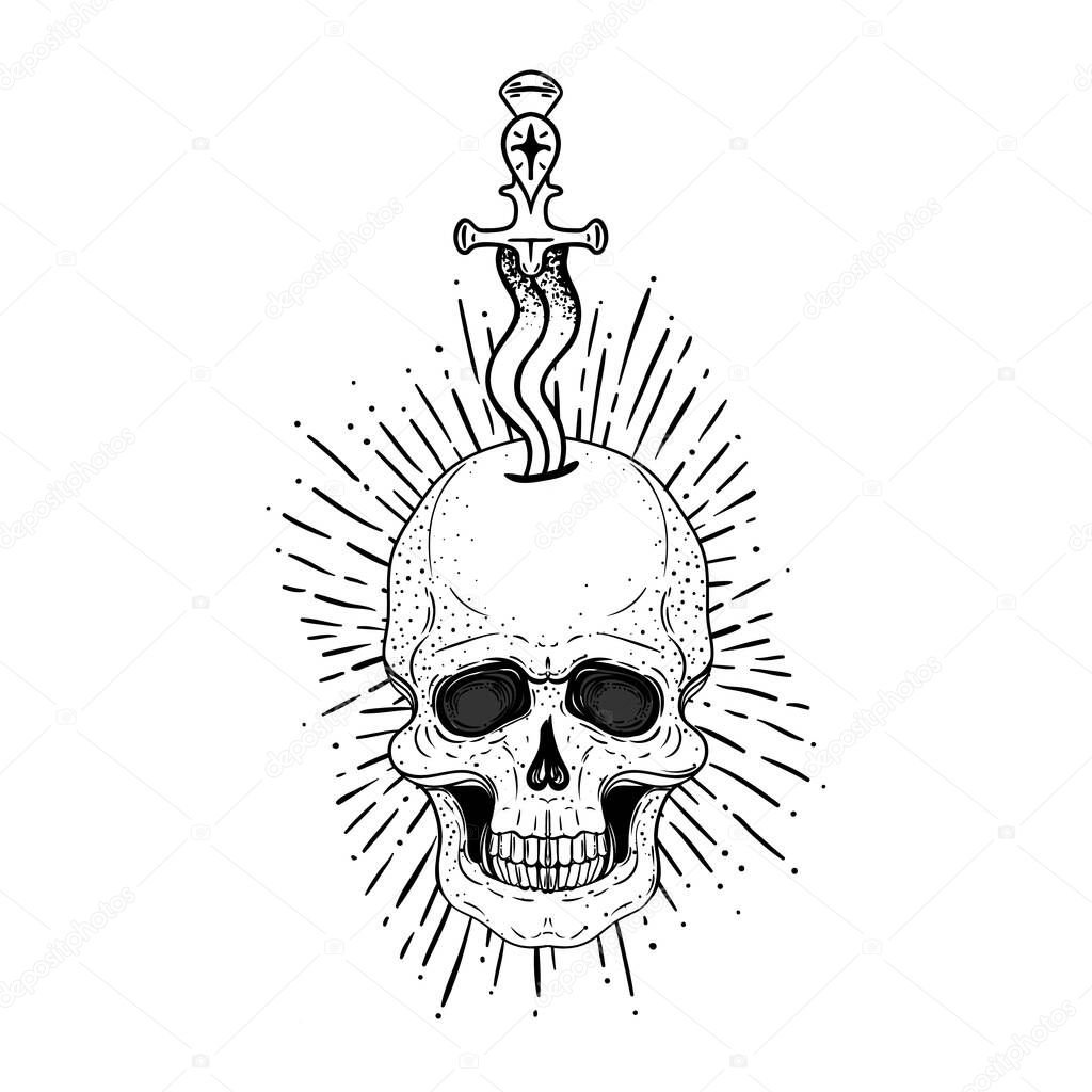 Dagger in skull. Tattoo design with rays. Isolated vector monochrome illustration in retro style on white background.