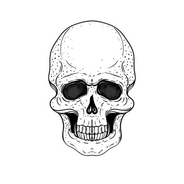 Sketchy style drawing of human skull, human head, isolated on white. Tattoo design element. Vector illustration. Religion, death, occultism, calavera symbol, alchemy magic..