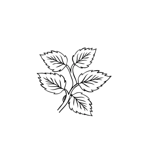 Geometryczny Kwiat Róży Art Deco Styl Inspirowany Szablon Projektu Logo — Wektor stockowy