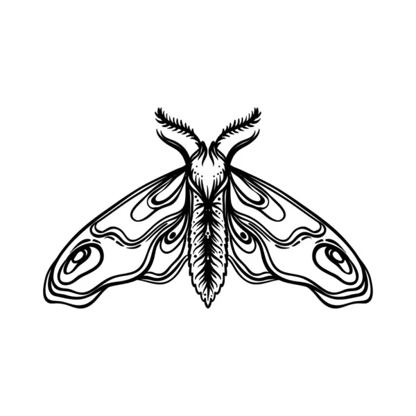 Černobílé Dekorativní Vektorové Znázornění Můry Izolované Bílé Design Tetování Omalovánky — Stockový vektor