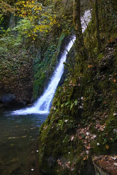 Pequena Cachoeira Floresta — Fotografia de Stock