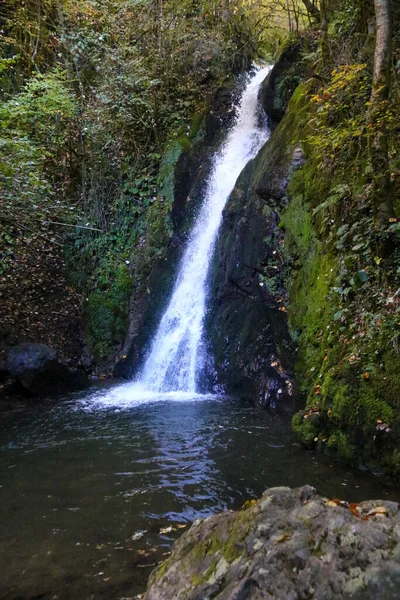 Kis Vízesés Erdőben — Stock Fotó
