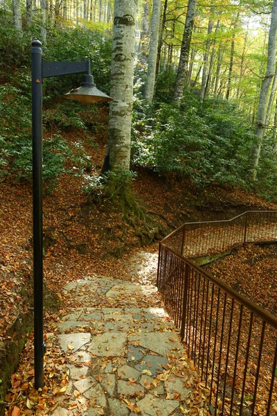 Stairs and street light in the park.