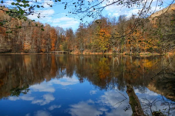 Reflexões Céu Lago Floresta Temporada Outono — Fotografia de Stock