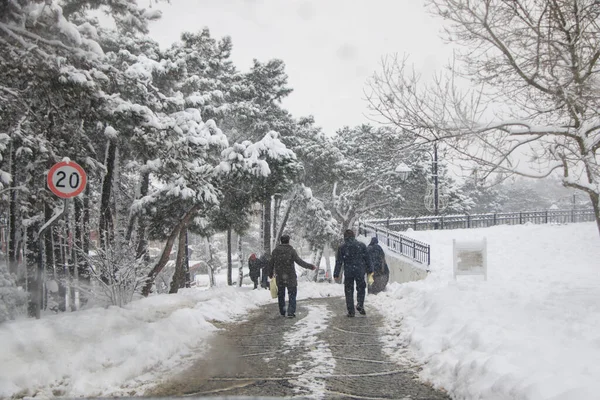 Grupo Personas Parque Invierno Enero 2017 Estambul — Foto de Stock