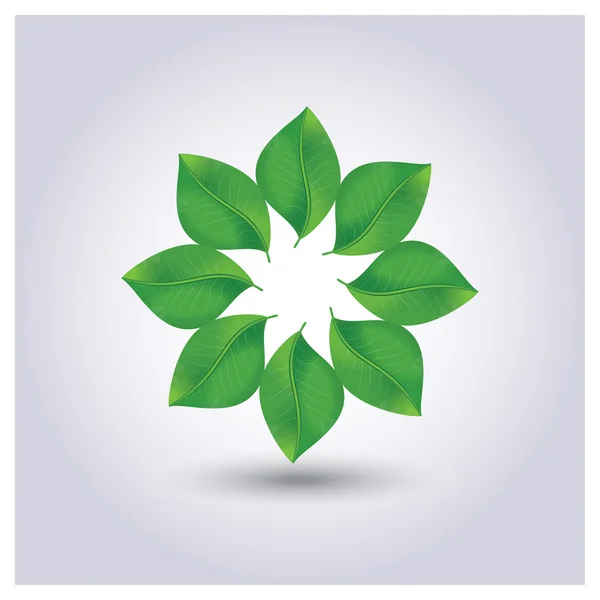 Vektor gröna blad i en cirkel — Stock vektor