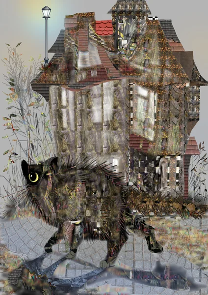 Etrafa ürkütücü şirin kedi korkuyor, eski bir evin önünde — Stok fotoğraf