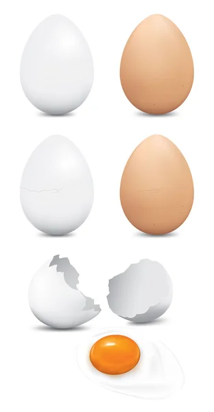 Huevos — Vector de stock