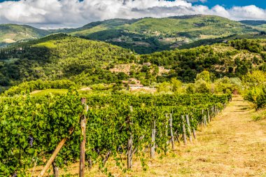 Toskana'nın kırsal