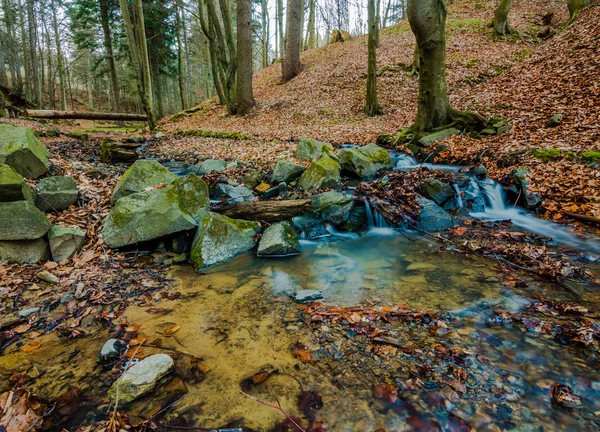 森の中の水流は — ストック写真