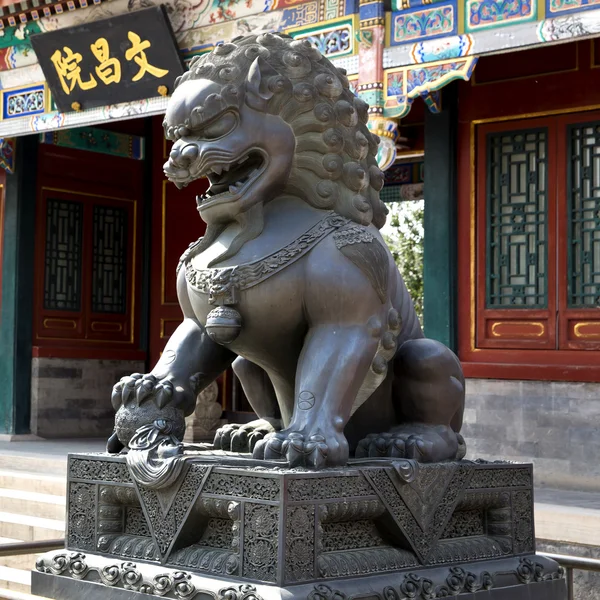 Lew chiński — Zdjęcie stockowe