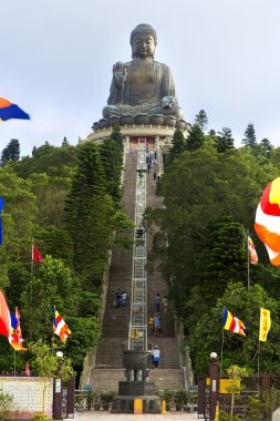 Tian Tan, Hong Kong