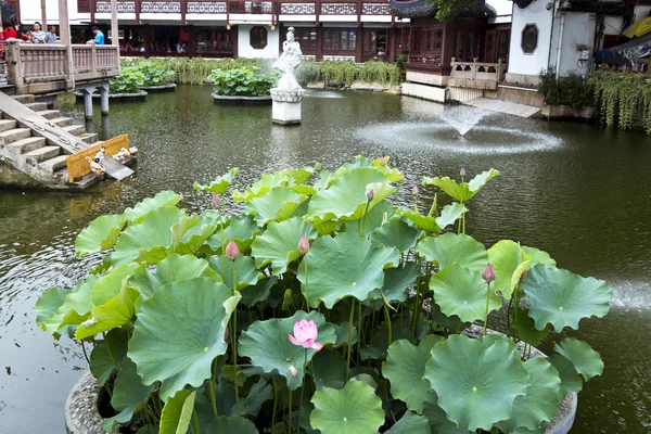 伝統的な庭、上海 — ストック写真