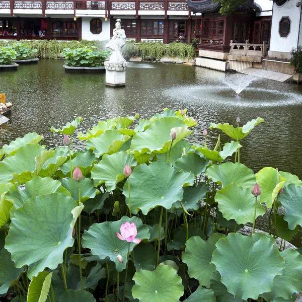 Traditionele tuin, shanghai — Stockfoto