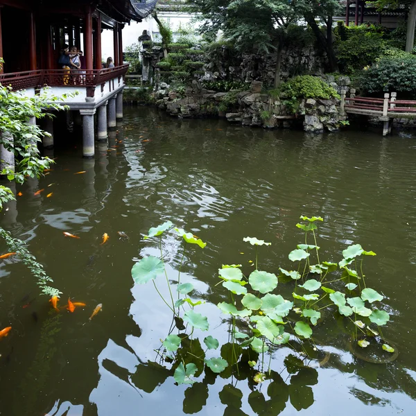 Jardín tradicional, Shanghái —  Fotos de Stock